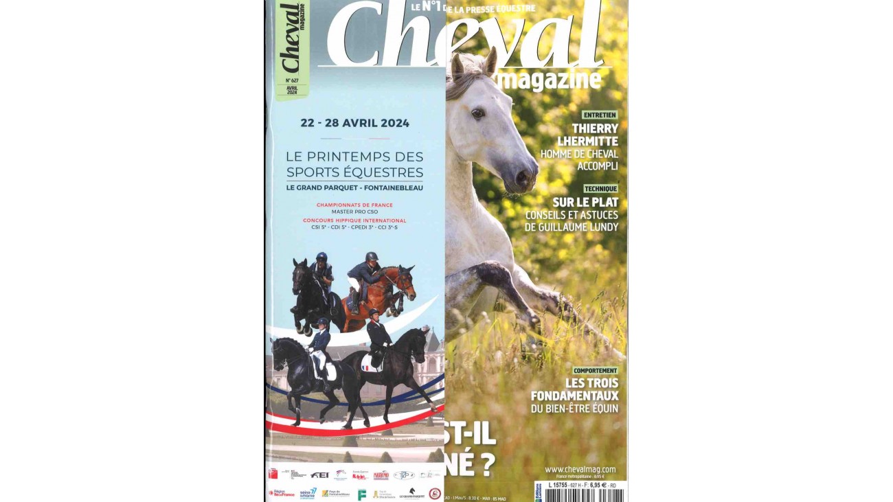 Comment faire de bonnes fiches de révision ?  Magazine Cheval / MonChval  Mag : Bien plus qu'un magazine sur le cheval et l'équitation !